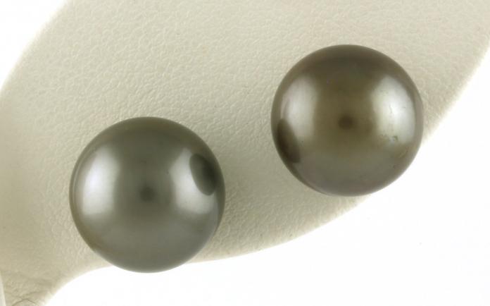 content/products/Estate Piece: Tahitian Pearl Stud Earrings in White Gold