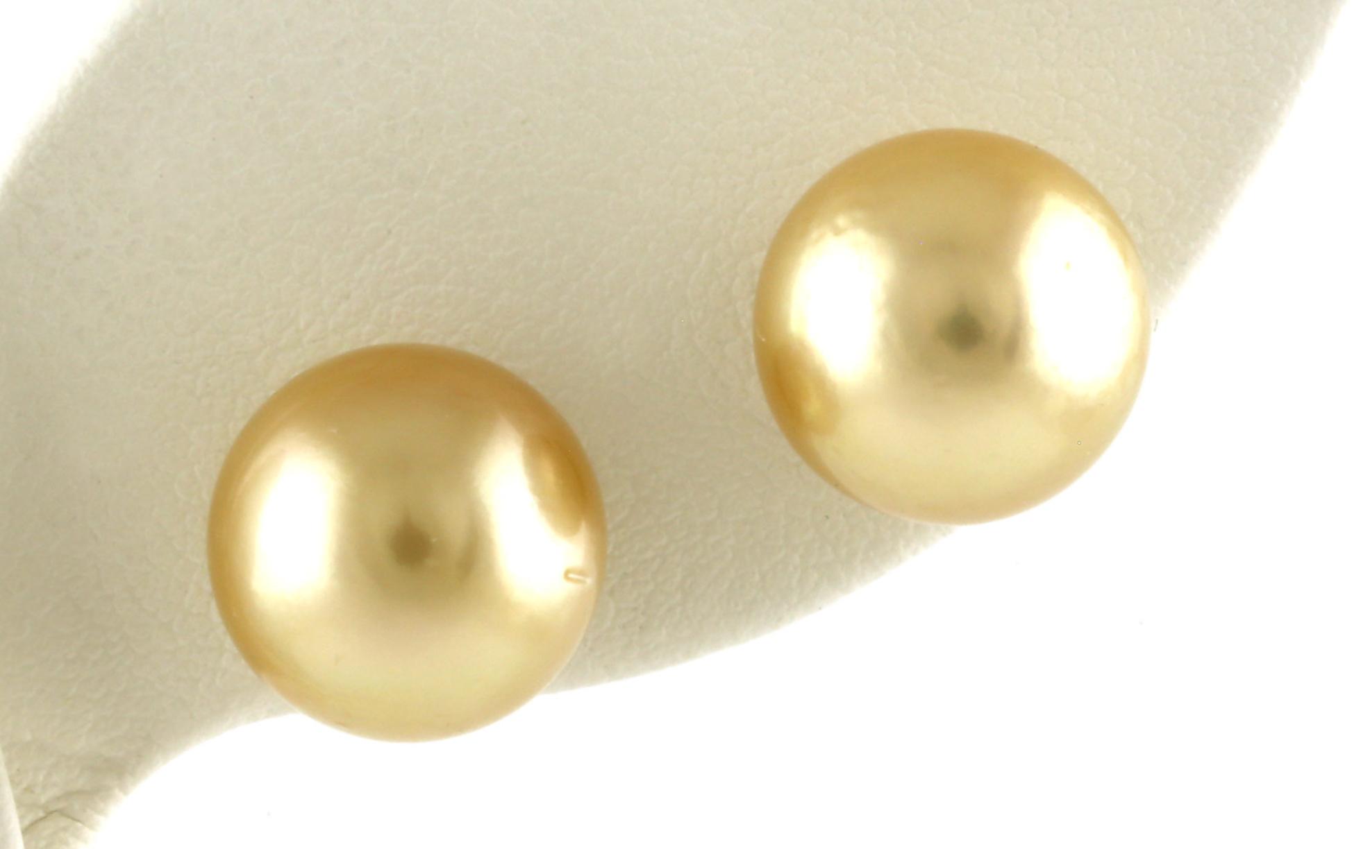 Golden South Sea Pearl Stud Earrings in Yellow Gold (11 - 12 mm)