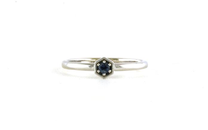 content/products/Hexagon Setting Montana Sapphire Ring in White Gold