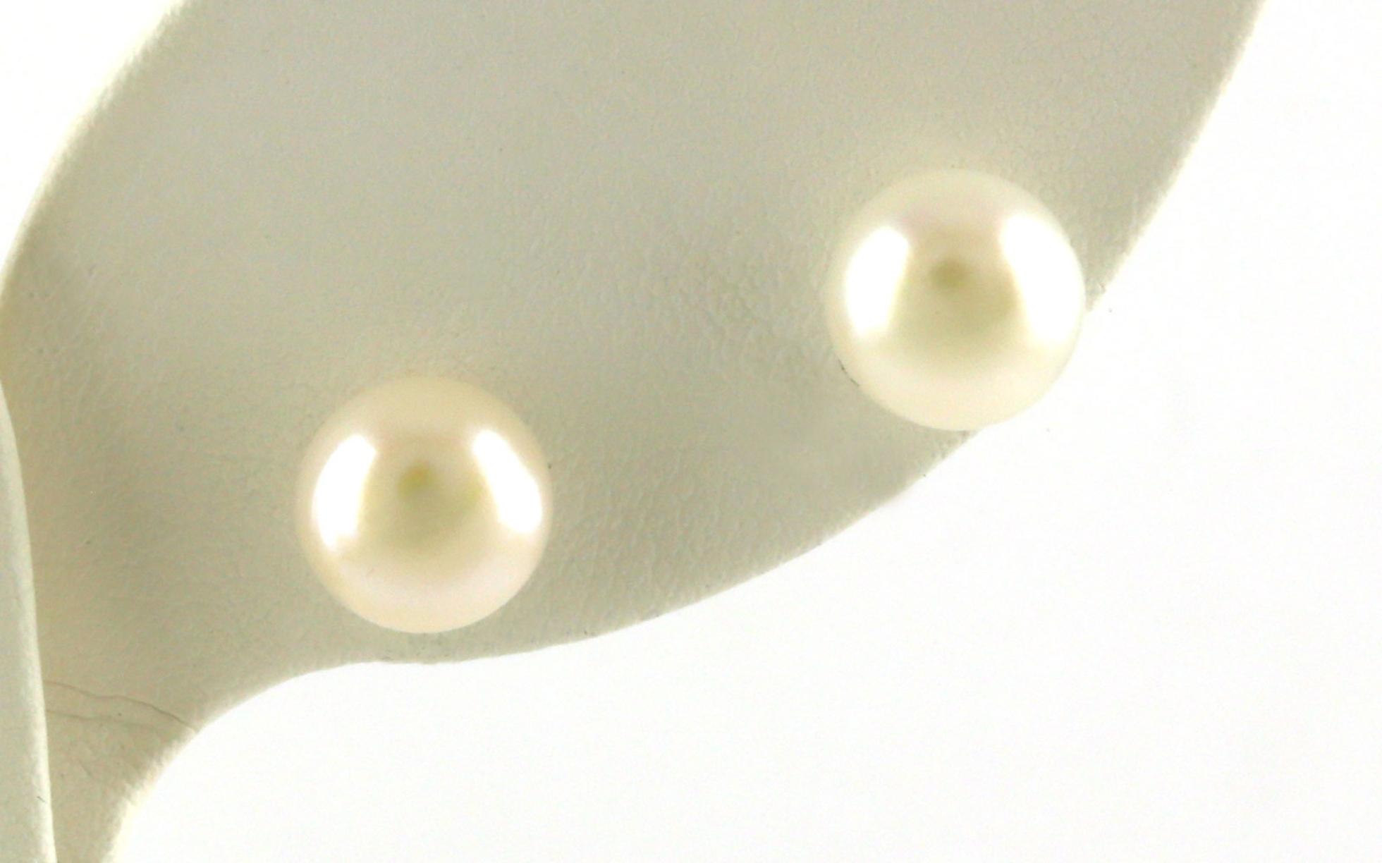 Fresh Water Button Pearl Stud Earrings in Sterling Silver