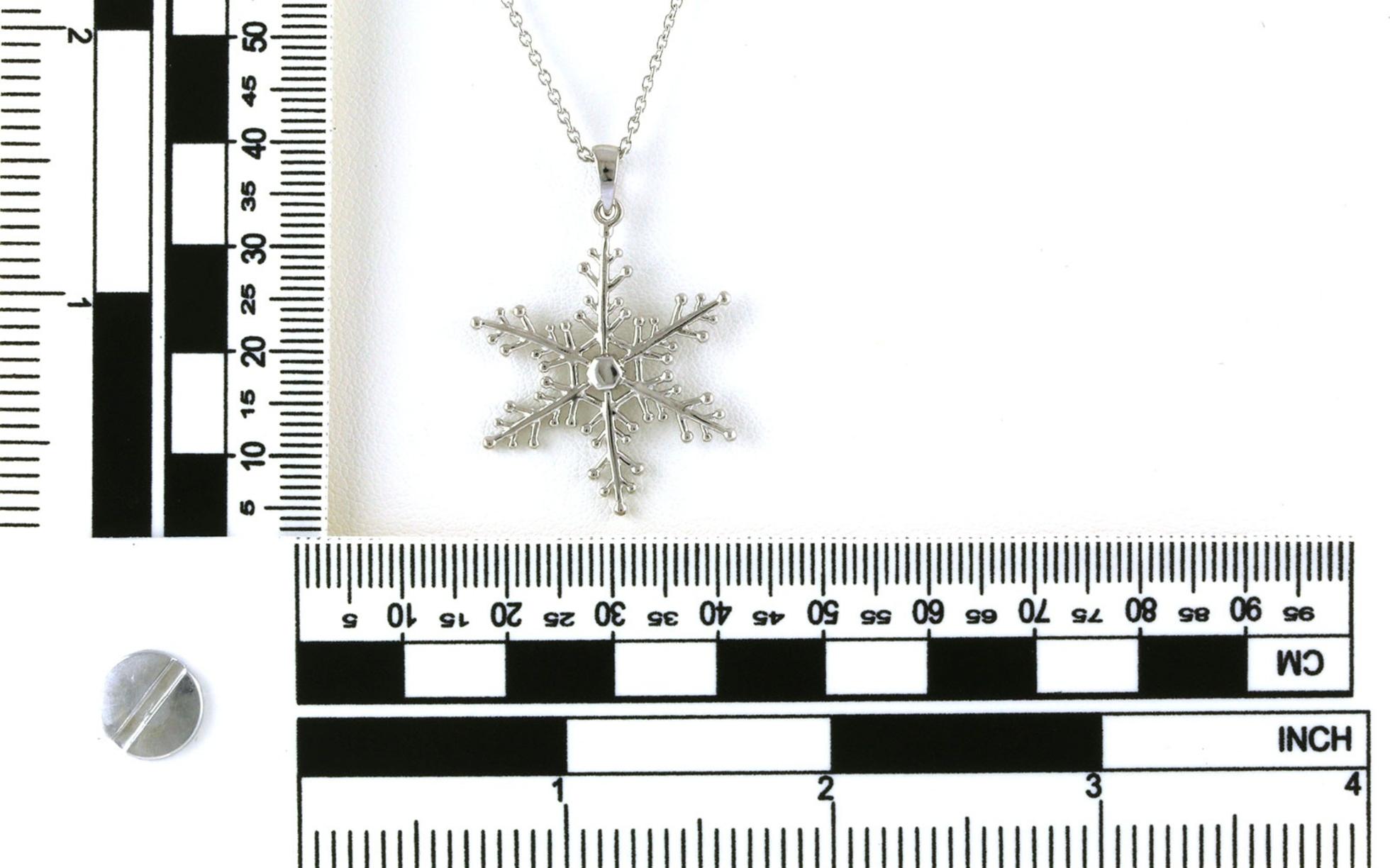 Large Snowflake Necklace in Sterling Silver Scale
