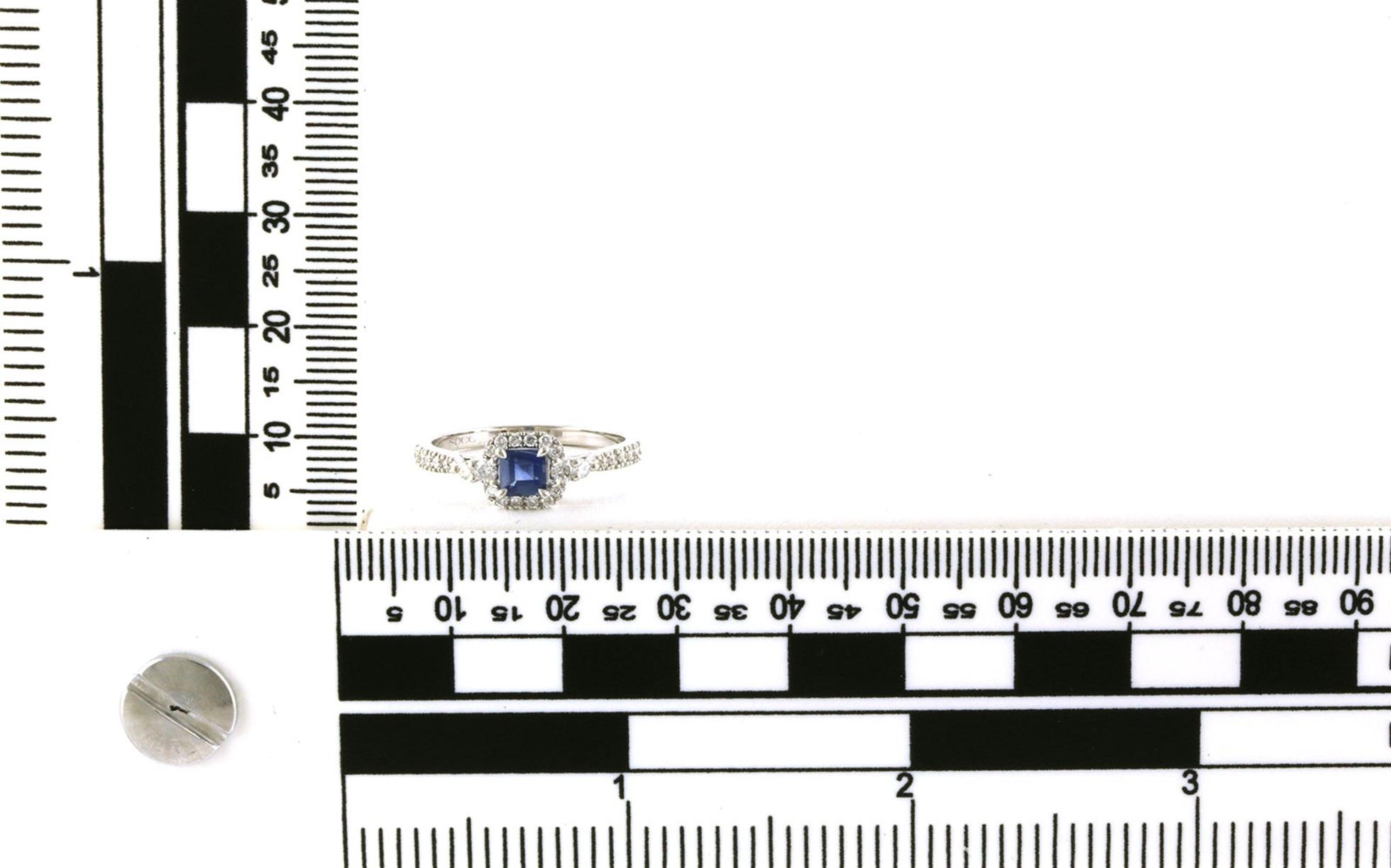 Cushion Halo Princess-cut Sapphire and Diamond Ring in White Gold (0.78cts TWT) scale