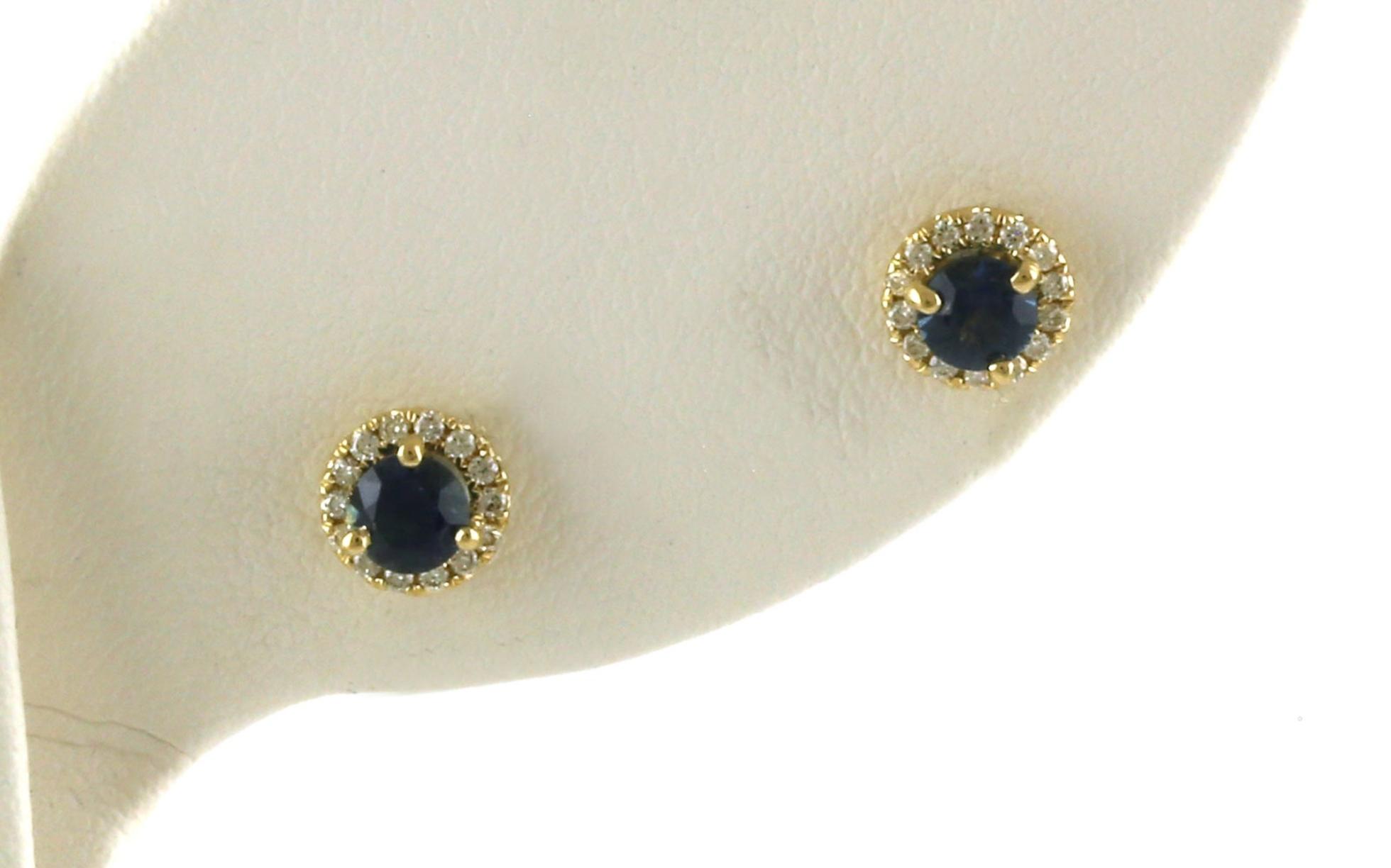 Halo Montana Sapphire and Diamond Stud Earrings in Yellow Gold (0.60cts TWT)