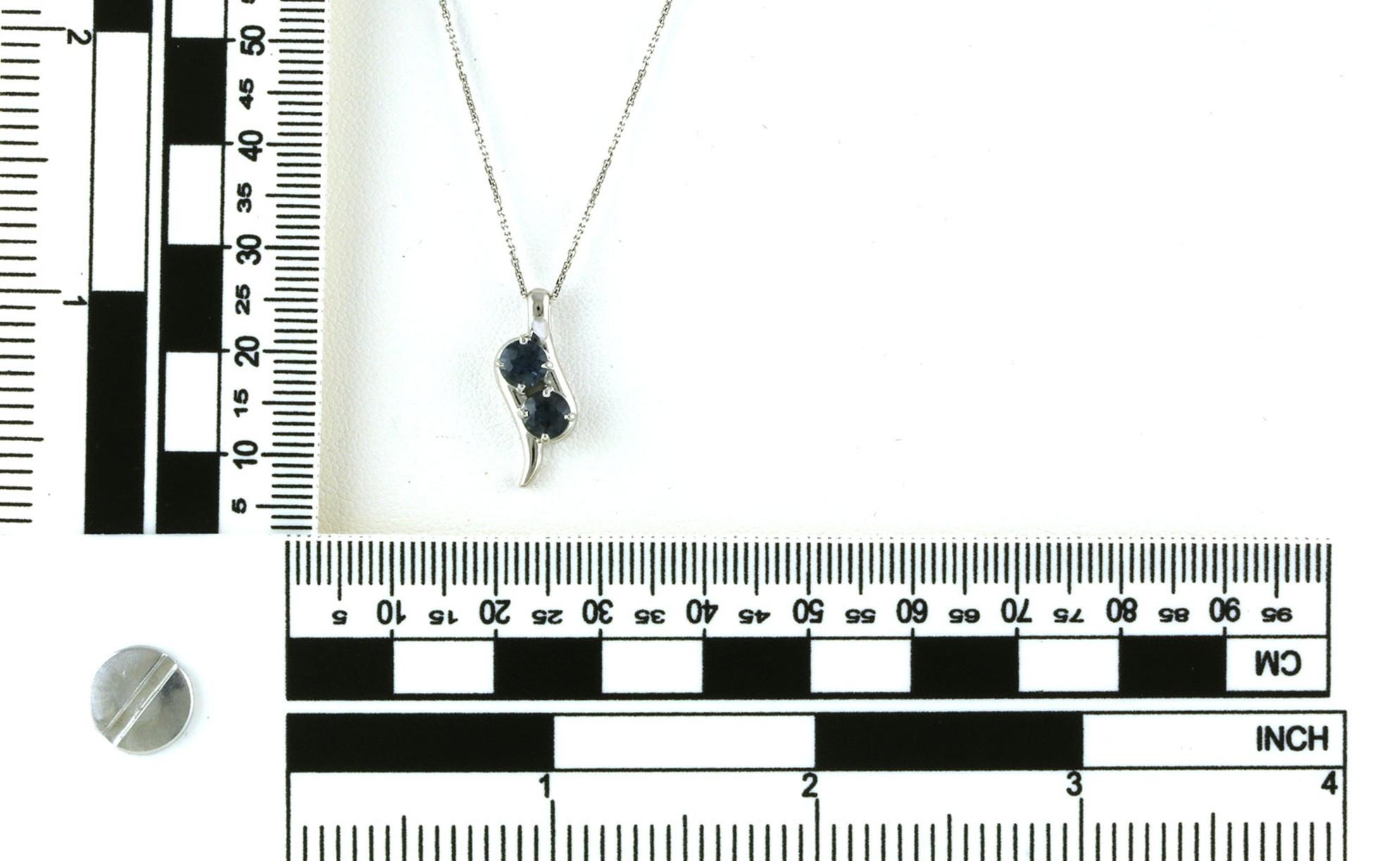 2-Stone Swoop Montana Sapphire Necklace in White Gold (1.21cts TWT) scale