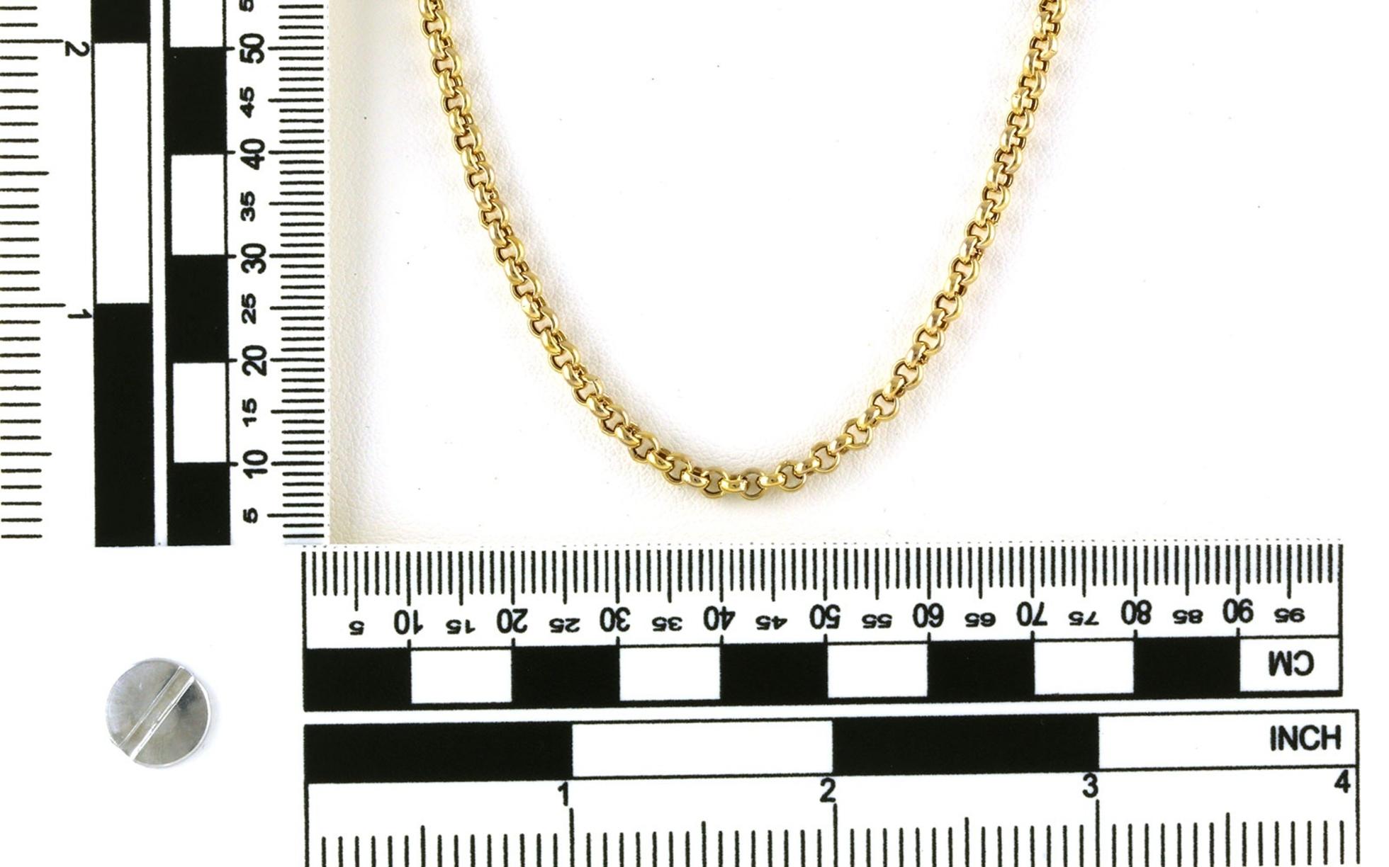 Estate Piece: Hollow Rolo Chain in Yellow Gold scale
