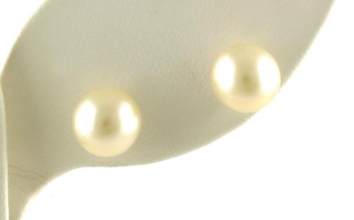 content/products/Fresh Water Pearl Stud Earrings in Yellow Gold (8 mm)