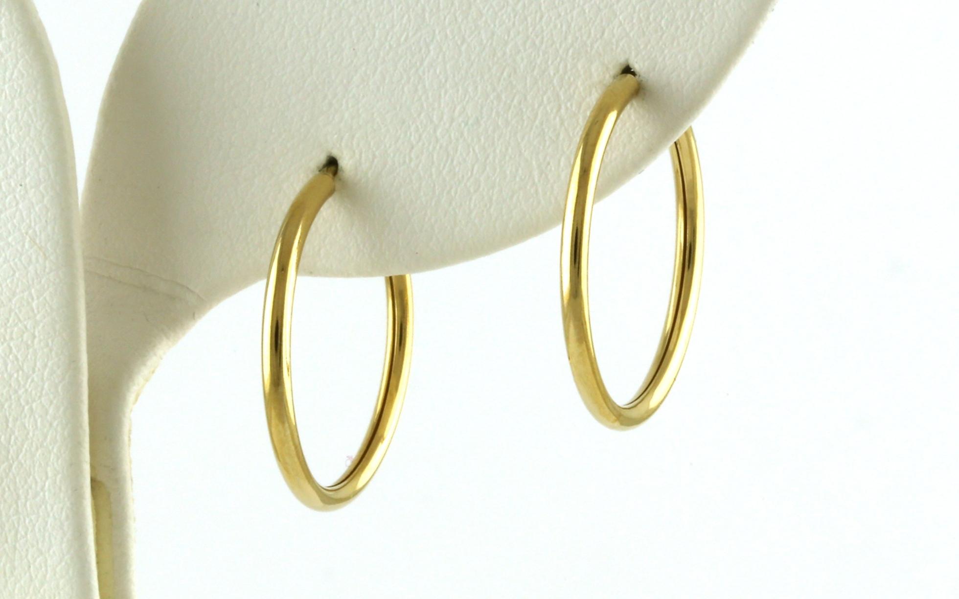 Hollow Endless Hoop Earrings in Yellow Gold (1.5x20mm)