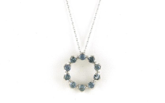 content/products/10-Stone Circle Montana Sapphire Necklace in Sterling Silver (1.28cts TWT)