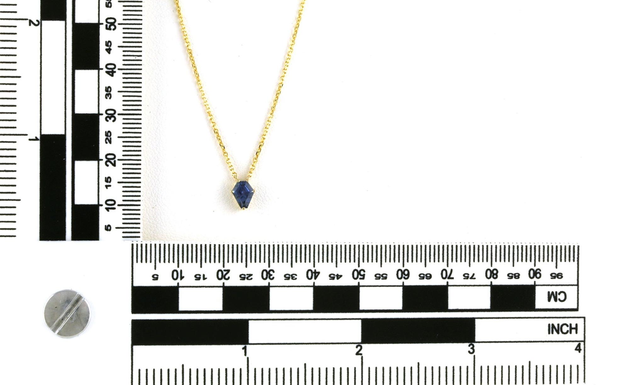 Solitaire Shield-cut Montana Sapphire Necklace in Yellow Gold (0.62cts) scale