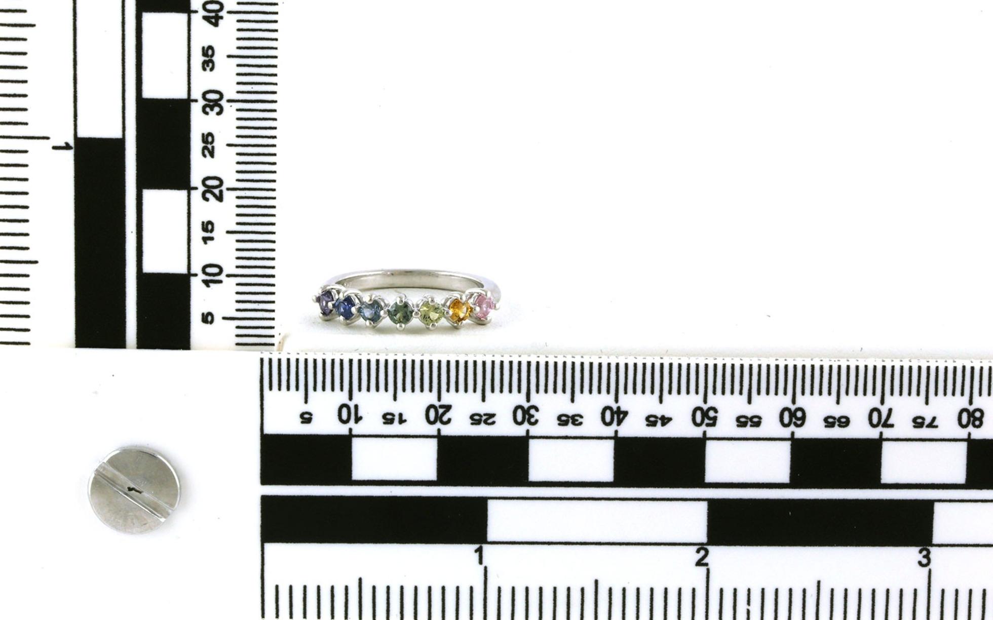 7-Stone Rainbow Montana Sapphire Band in White Gold (0.71cts TWT) scale