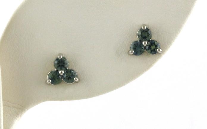 content/products/3-Stone Cluster Montana Sapphire Stud Earrings in White Gold (0.73cts TWT)