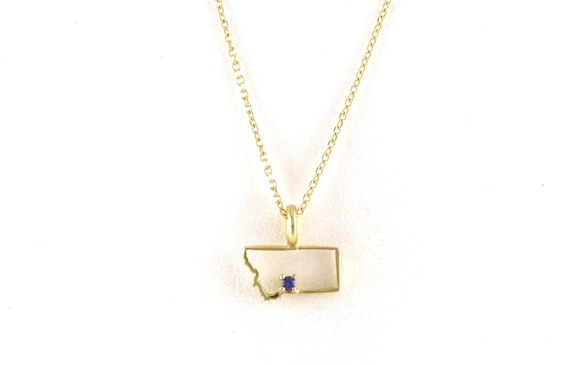 Petite State of Montana Outline Necklace with Montana Yogo Sapphire in Yellow Gold (0.01cts)