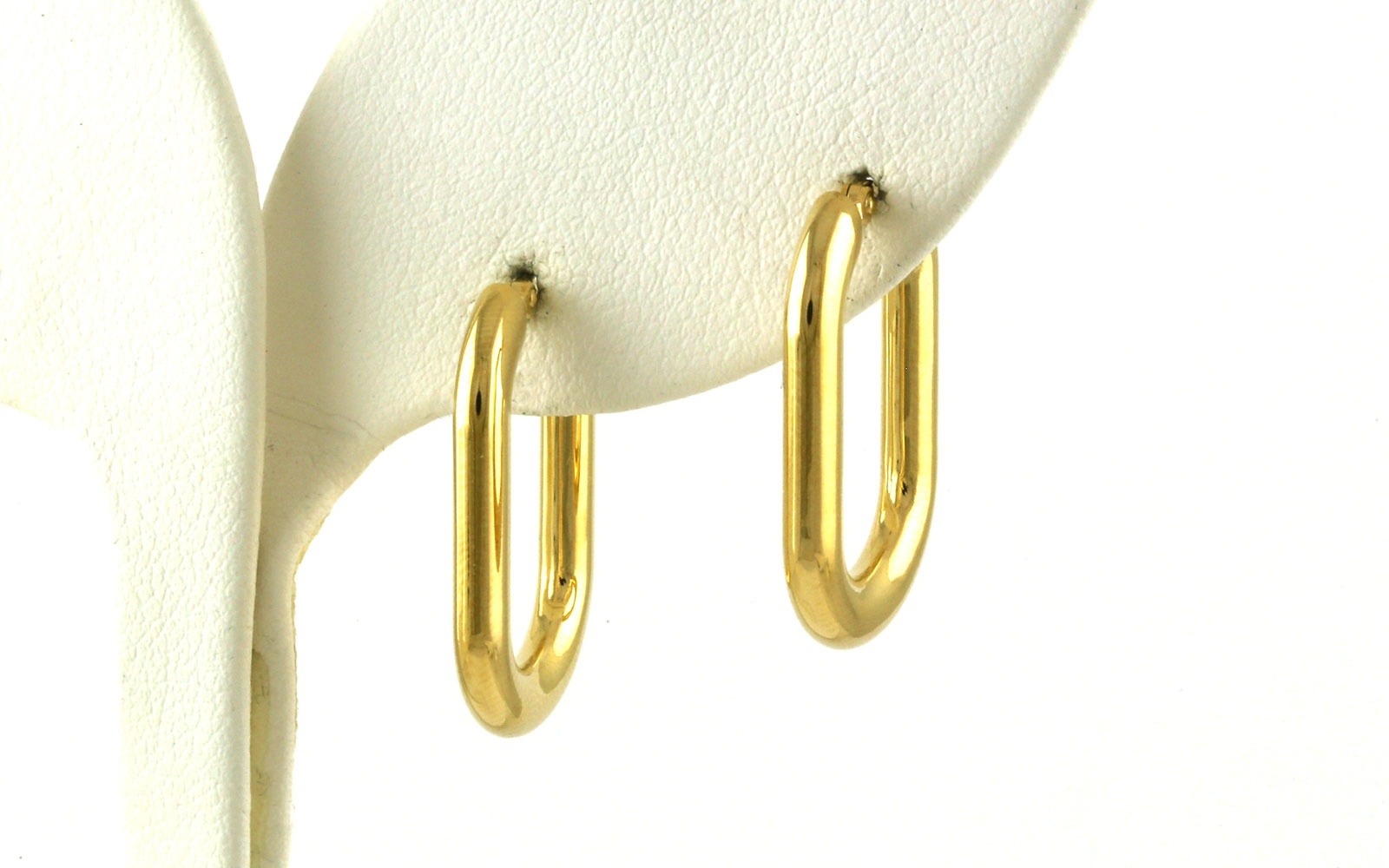 Hollow Flat Oval Hoop Earrings in Yellow Gold