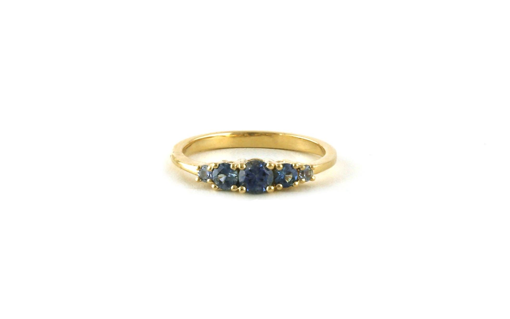 5-Stone Graduated Montana Sapphire Ring in Yellow Gold (0.66cts TWT)