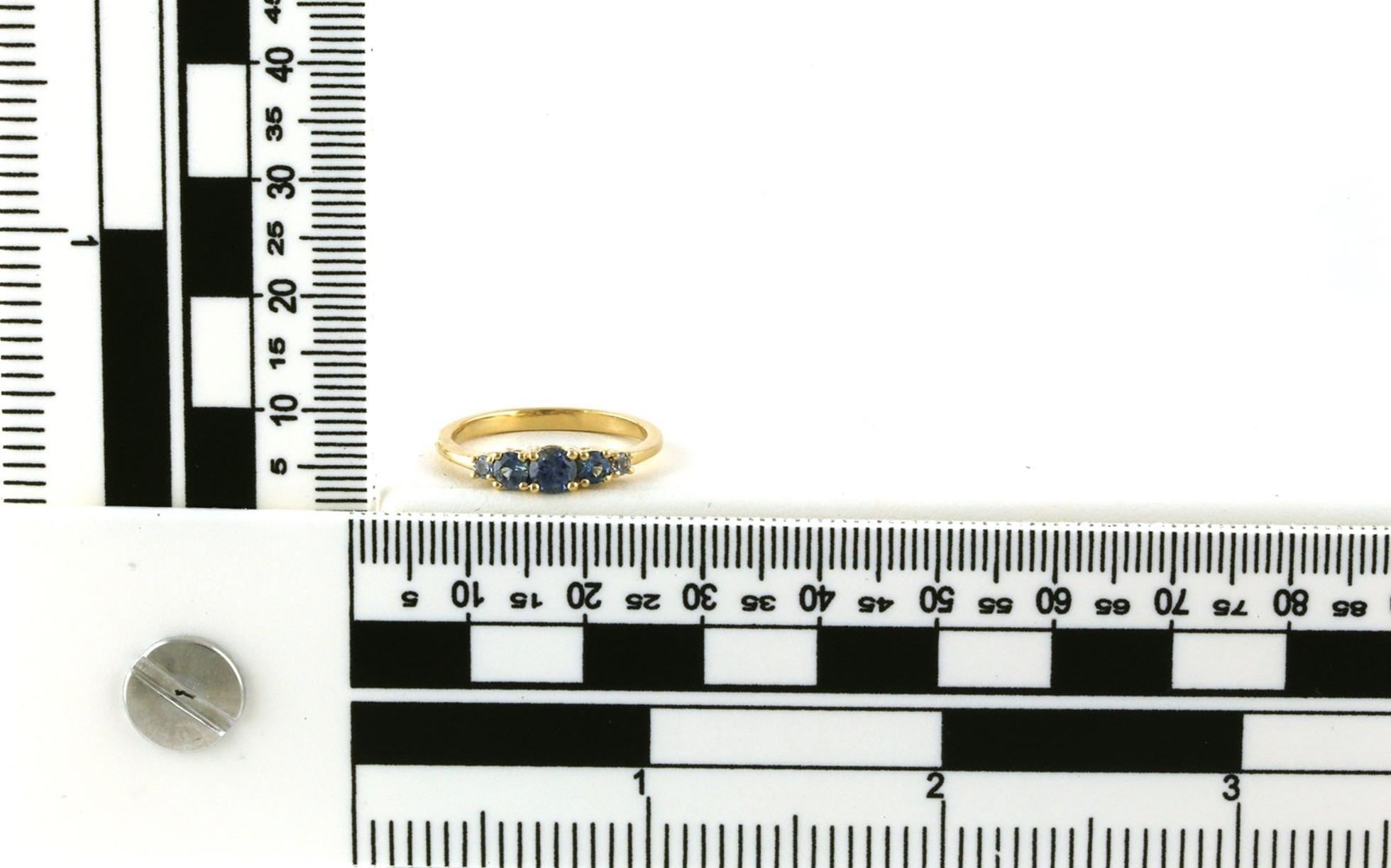 5-Stone Graduated Montana Sapphire Ring in Yellow Gold (0.66cts TWT) scale