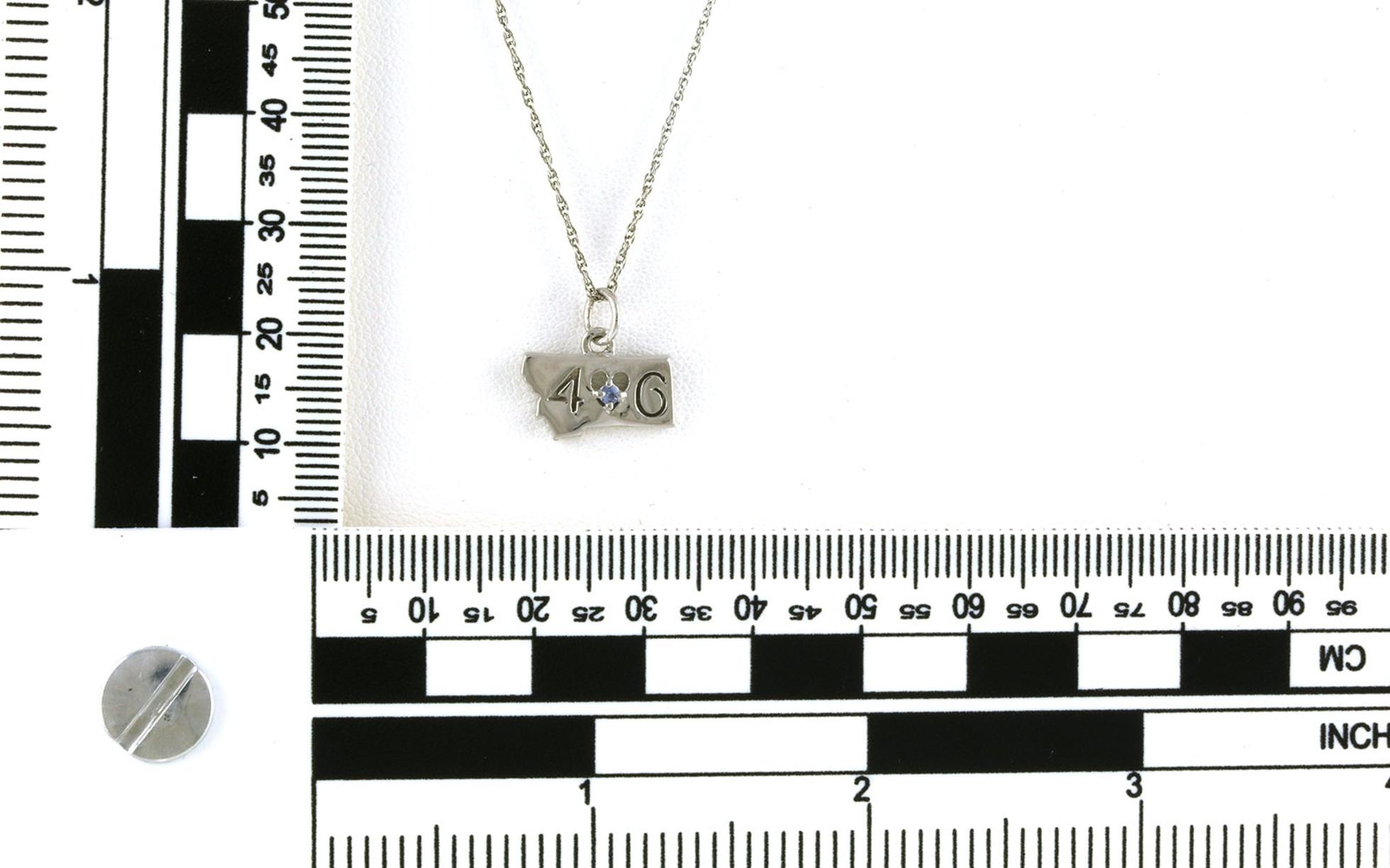 Petite State of Montana "406" Heart Montana Yogo Sapphire Necklace in Sterling Silver (0.03cts) scale