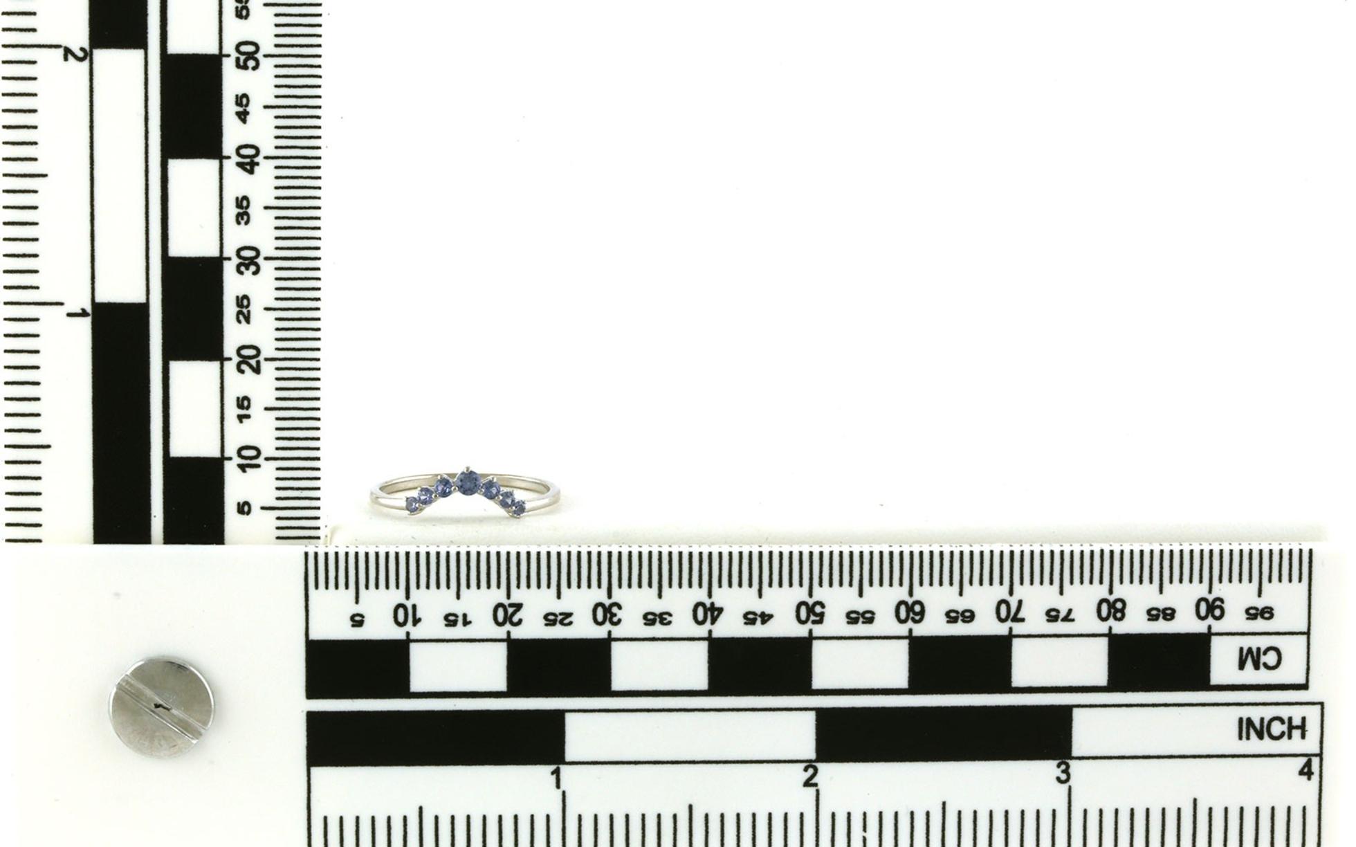 Curved Half Starburst Montana Yogo Sapphire Ring in White Gold (0.25cts TWT) - Scale
