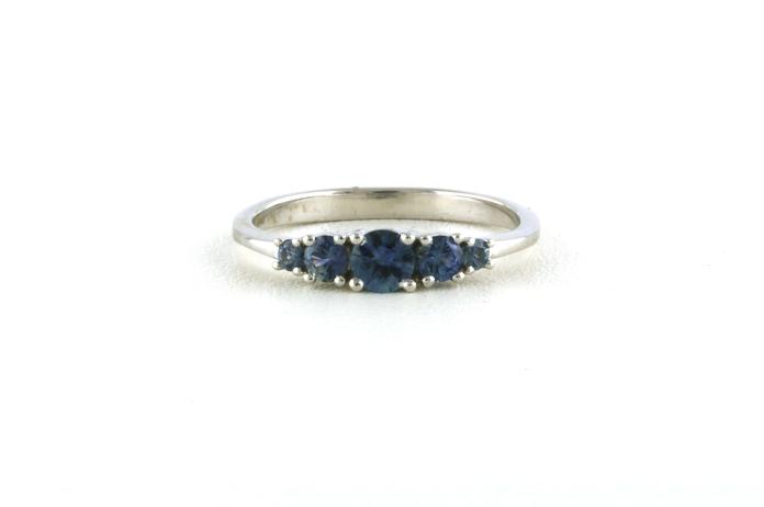 content/products/Montana Sapphire 5-Stone Ring in White Gold (0.66cts TWT)