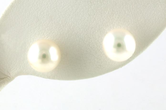 content/products/Fresh Water Pearl Stud Earrings in Yellow Gold