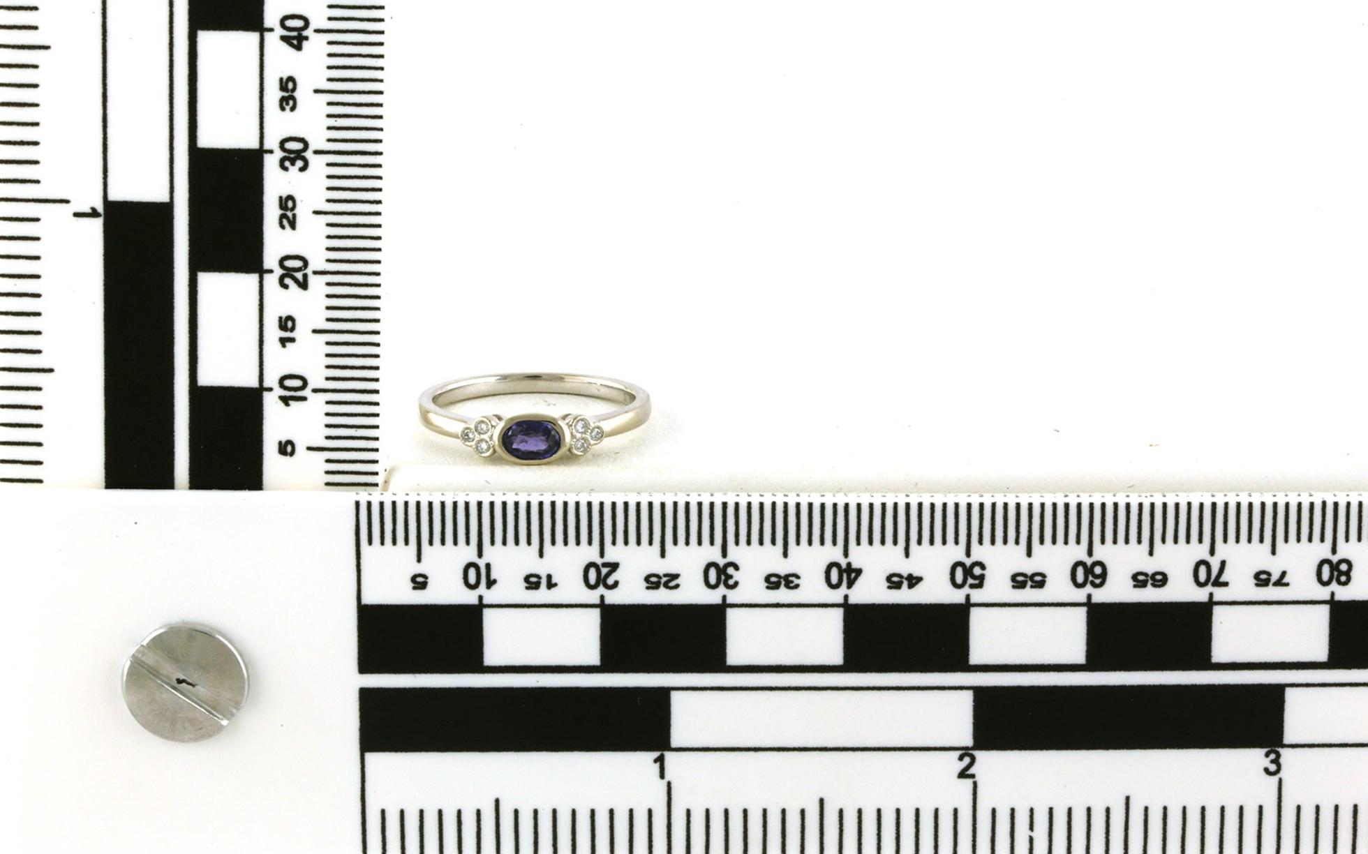 Huckleberry Sapphire Bezel-Set and Diamond side cluster Ring in White Gold (0.33cts TWT) scale
