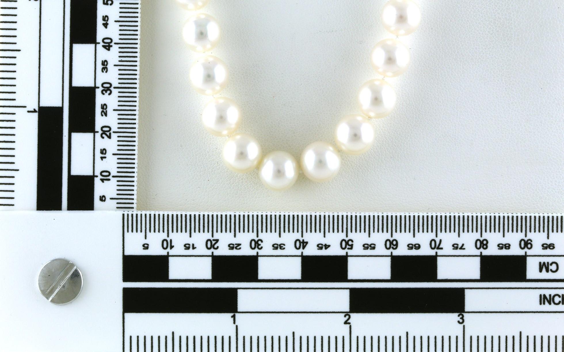 Freshwater Pearl Knotted Strand with White Gold Clasp (8.50 - 9.00mm) scale