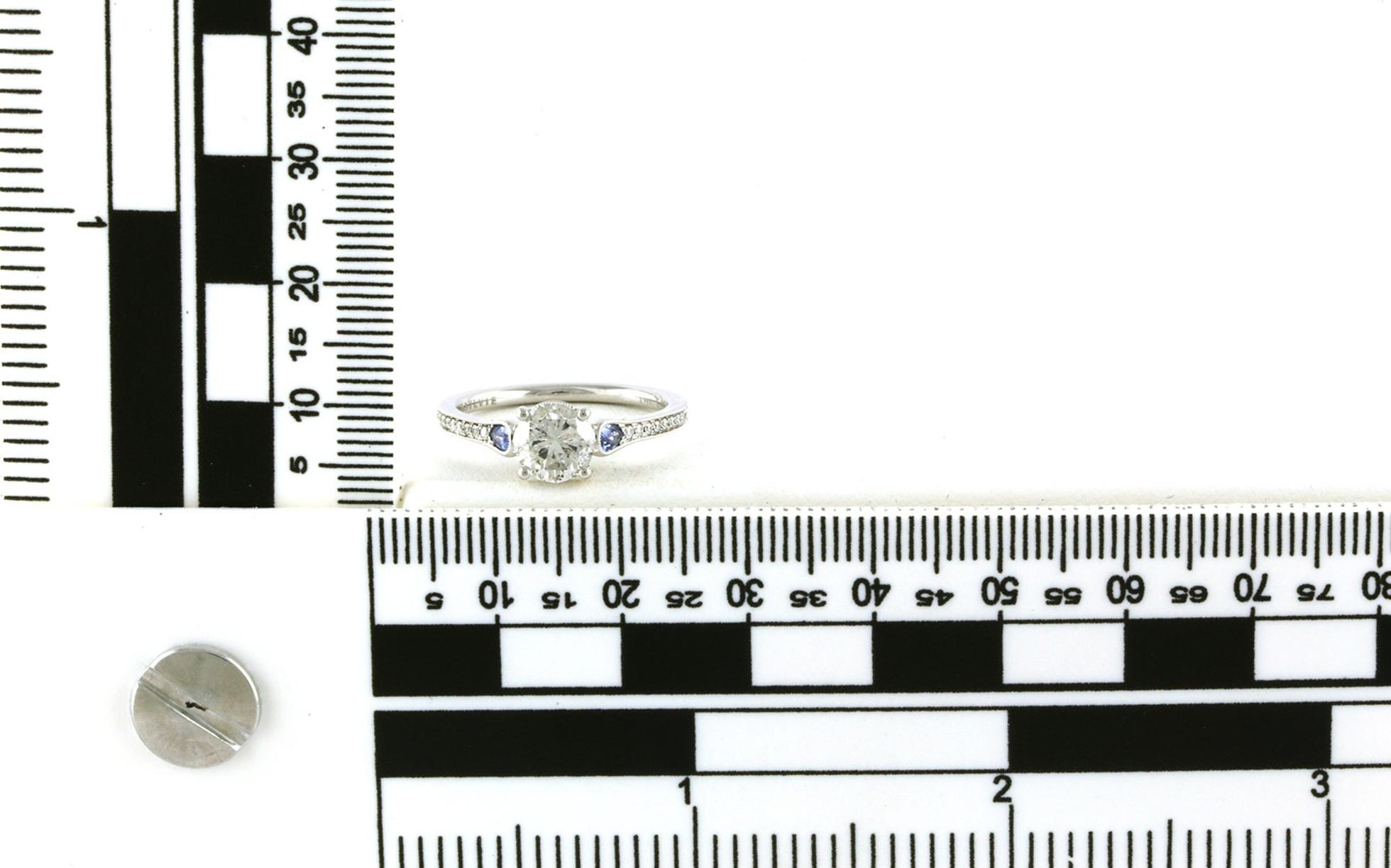 3-Stone Style Diamond and Montana Yogo Sapphire Pave Shank Ring in White Gold (1.31cts TWT) scale