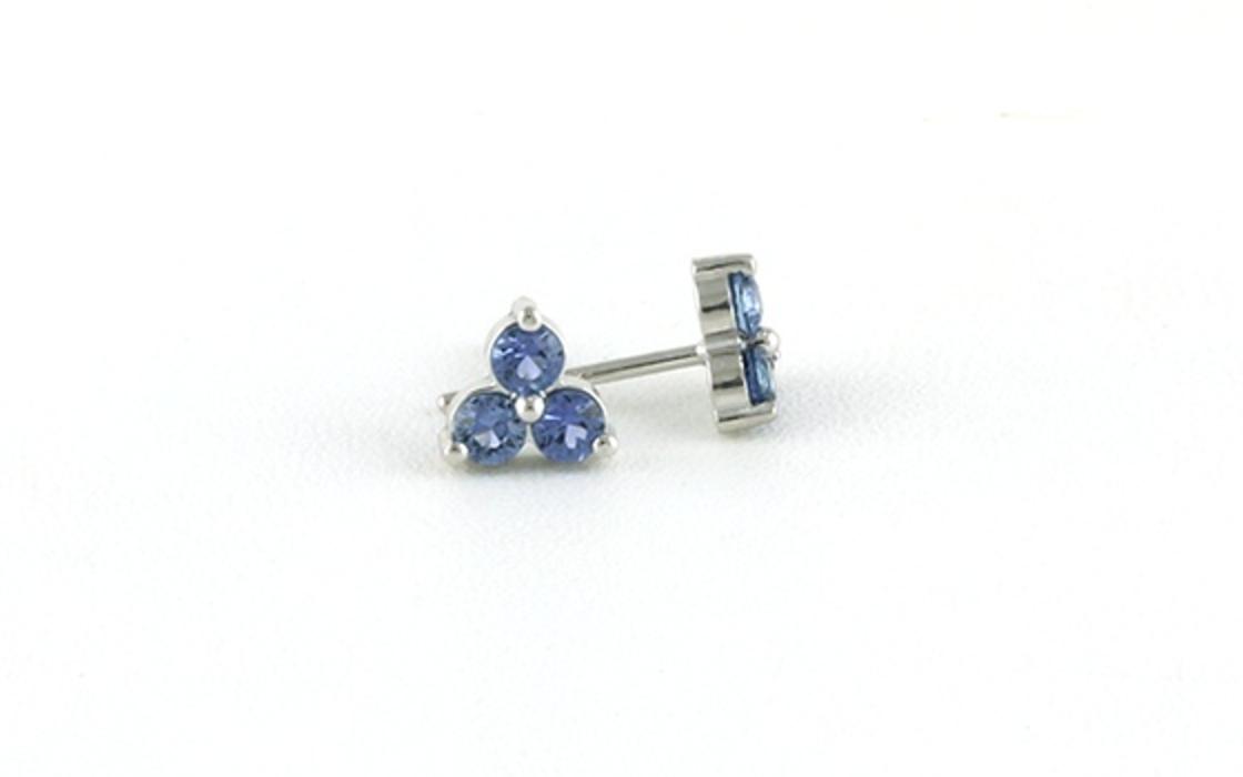 Three-Stone Montana Yogo Sapphire Cluster Stud Earrings in White Gold (0.45cts TWT) side
