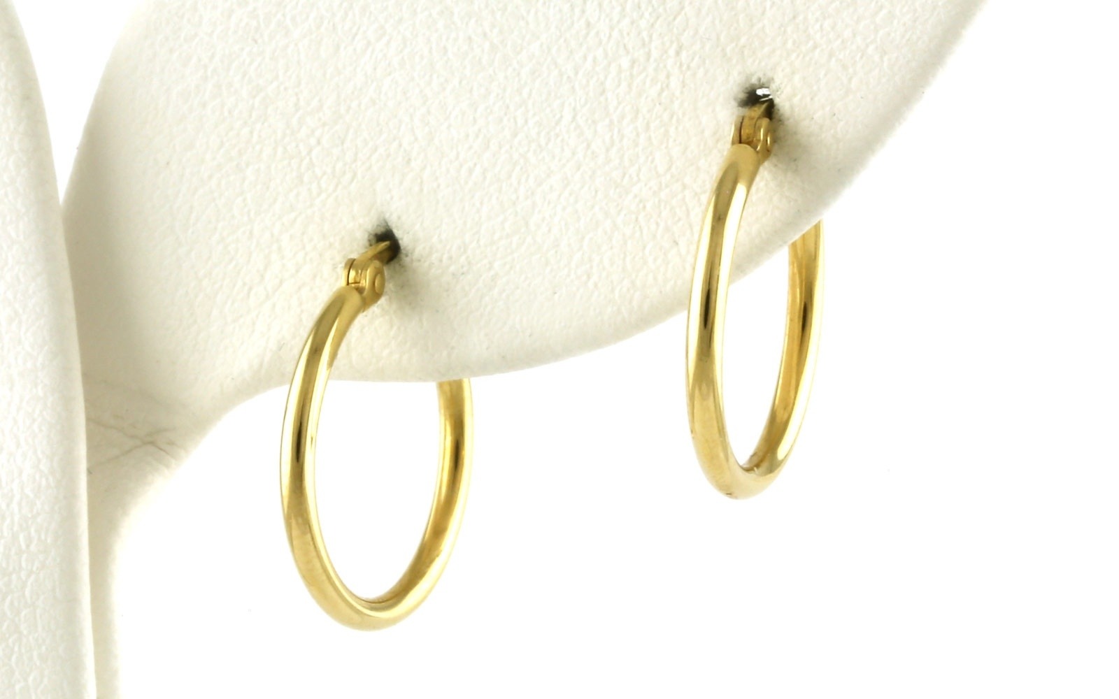 Hoop Earrings in Yellow Gold