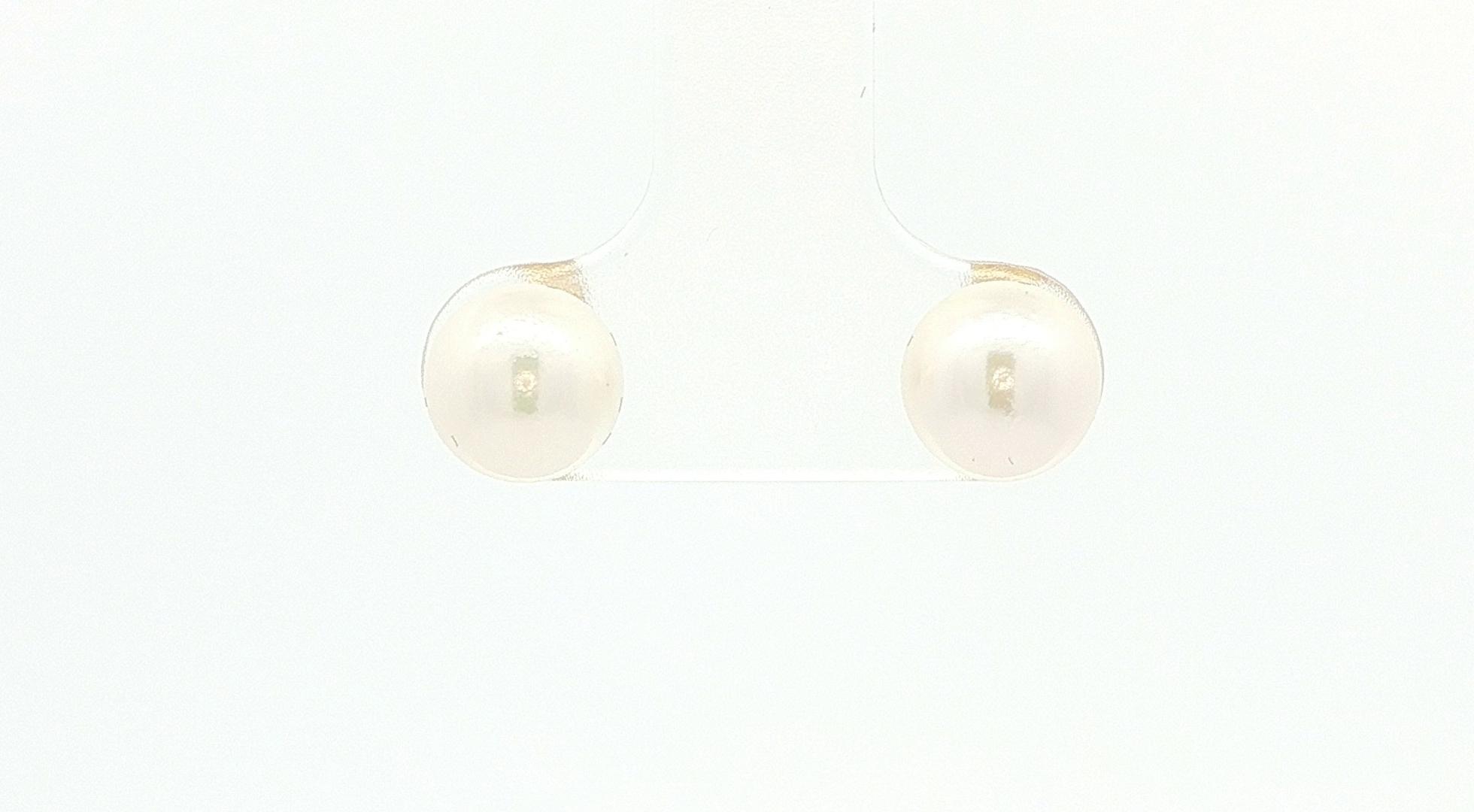 Estate Piece: Akoya Pearl Stud Earrings in Yellow Gold