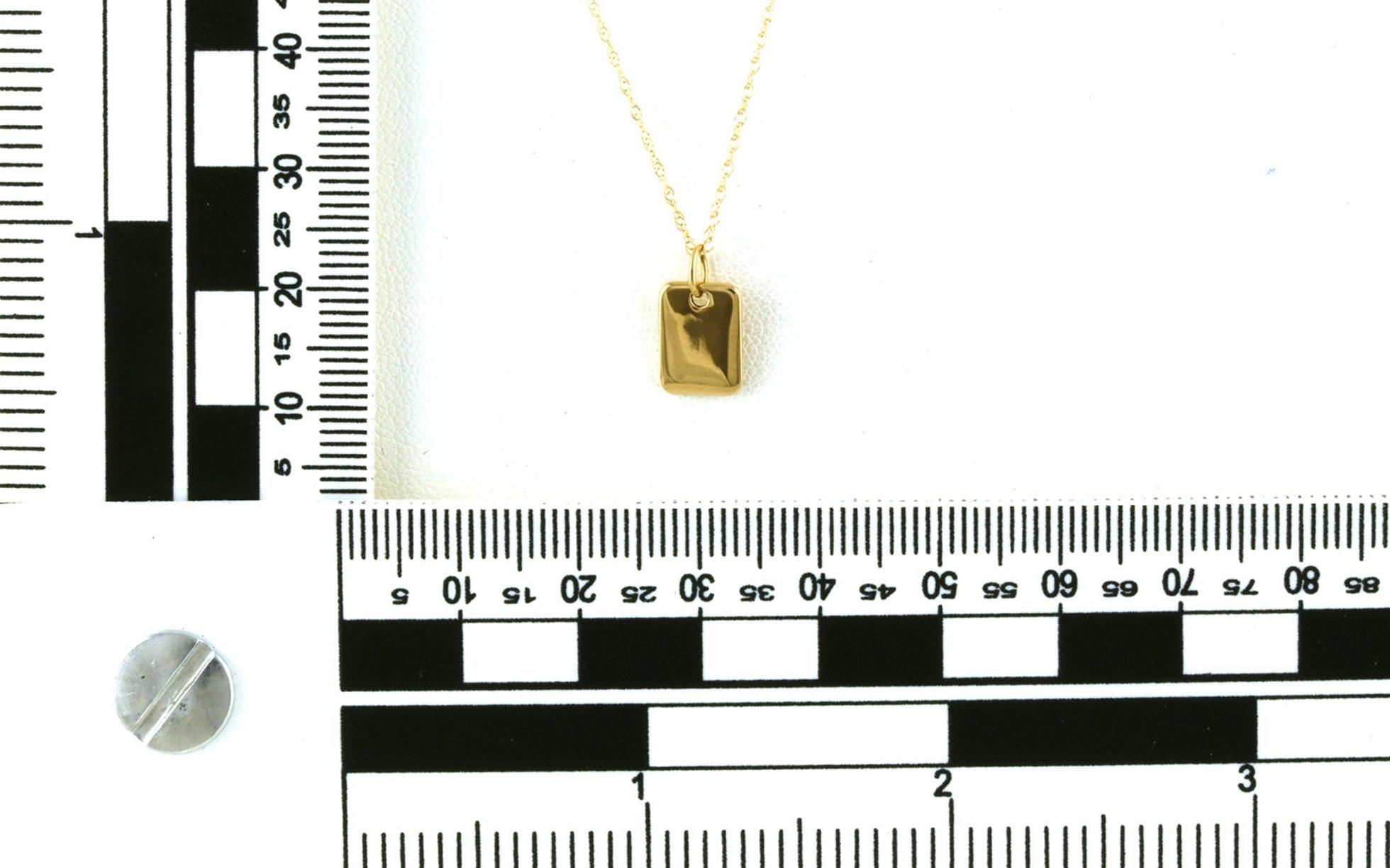 Mini Dog Tag Necklace in Yellow Gold scale