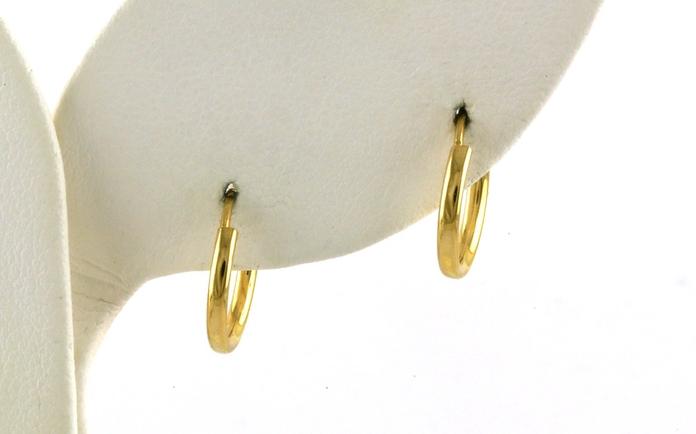 content/products/Small Endless Hoop Earrings in Yellow Gold