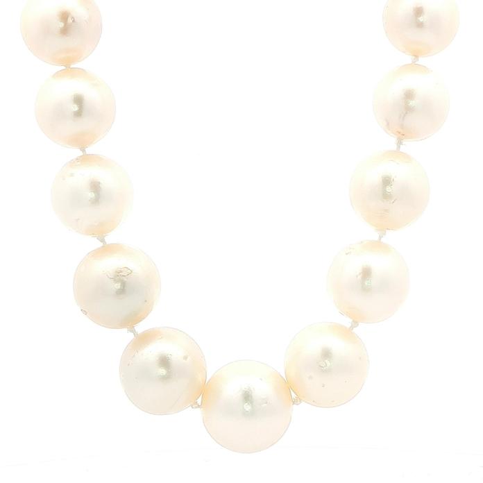 content/products/Estate Piece: Pearl Necklace with Pave Diamond Clasp in White Gold