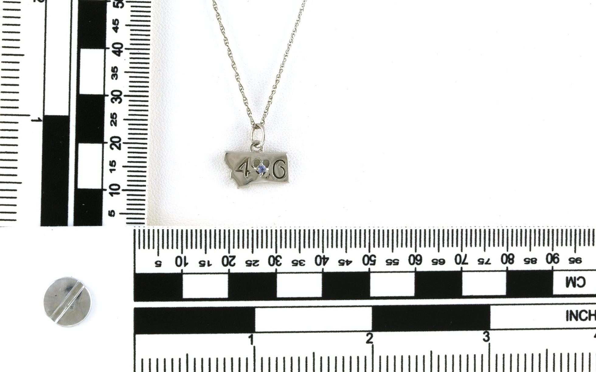 Montana Yogo Sapphire "406" State of Montana Charm in Sterling Silver (0.03ct) scale
