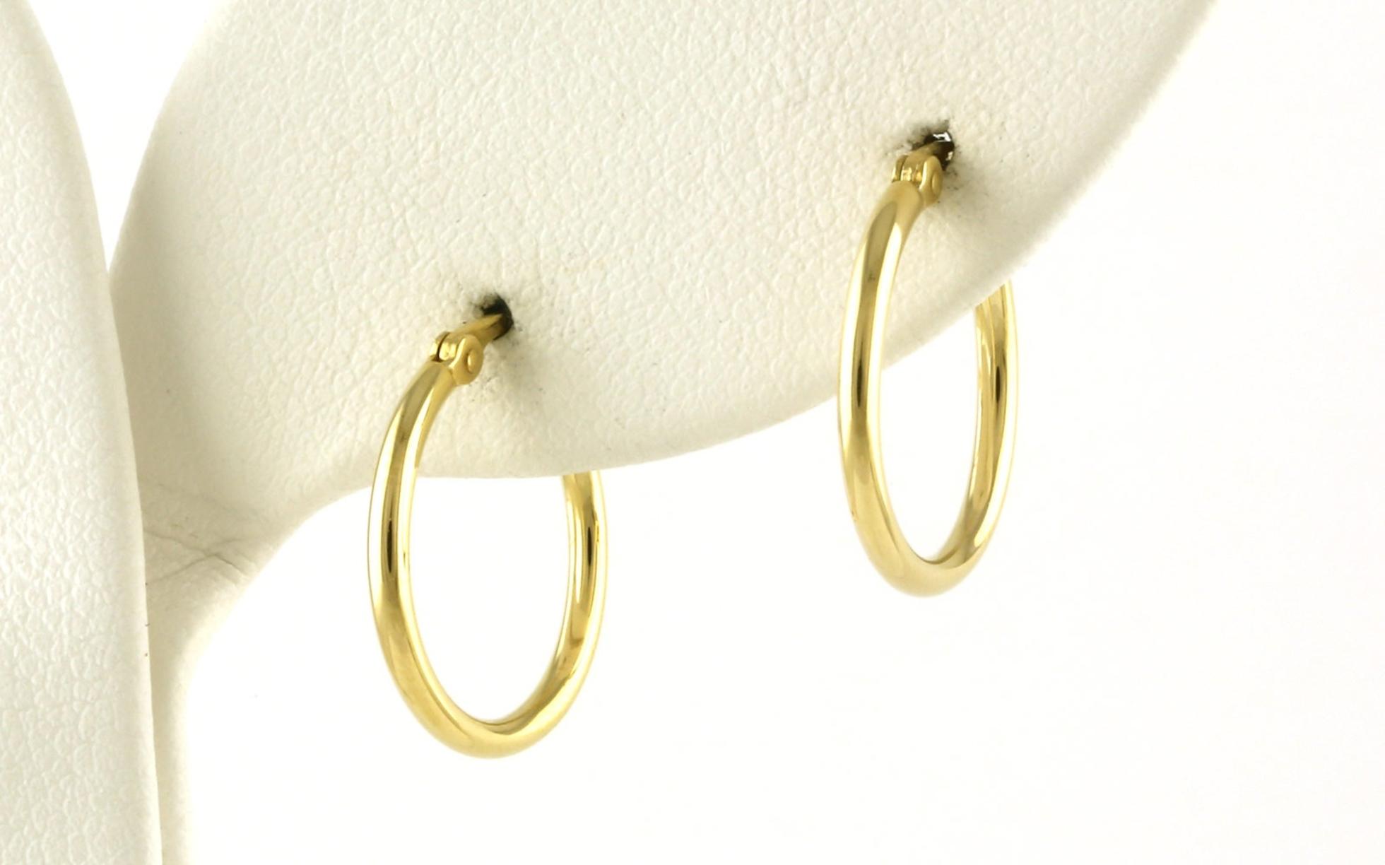 Petite Hoop Earrings in Yellow Gold