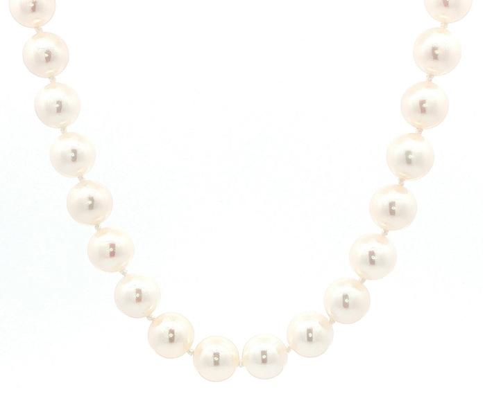 content/products/Classic White Pearl Strand Necklace with Extender and Yellow Gold Clasp (7.5-8.0 mm)