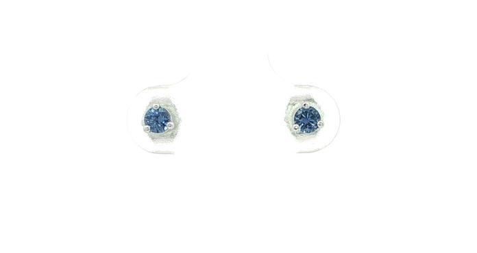 content/products/Montana Yogo Sapphire Stud Earrings in 3-Prong Martini Settings in White Gold (0.25cts TWT)