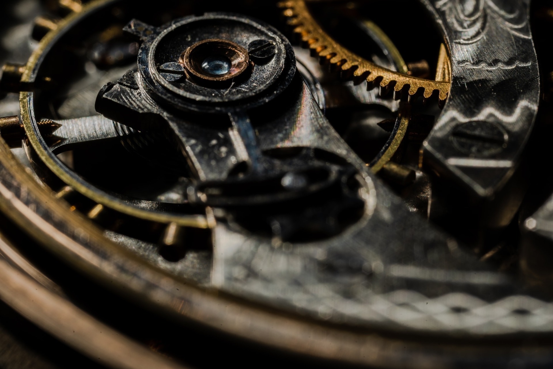 small gears inside a watch